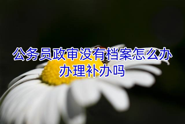 公务员政审没有档案怎么办，办理补办吗