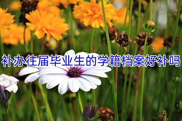 补办往届毕业生的学籍档案好补吗