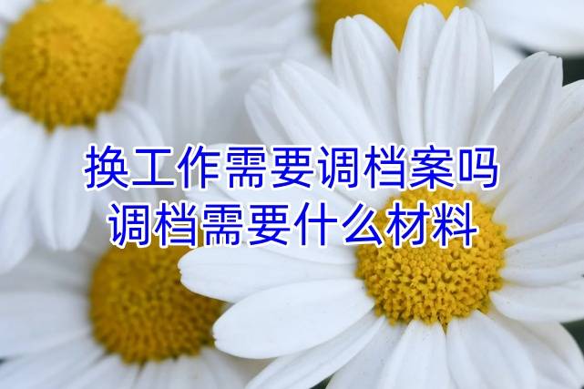 换工作需要调档案吗，调档需要什么材料