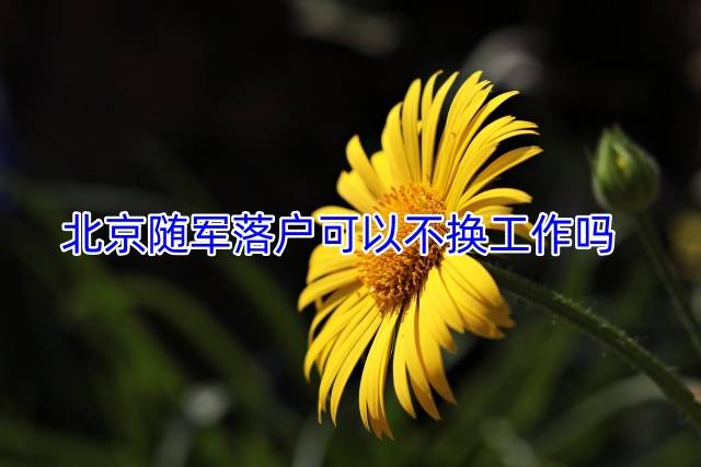 北京随军落户可以不换工作吗