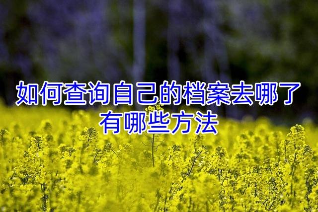 如何查询自己的档案去哪了，有哪些方法