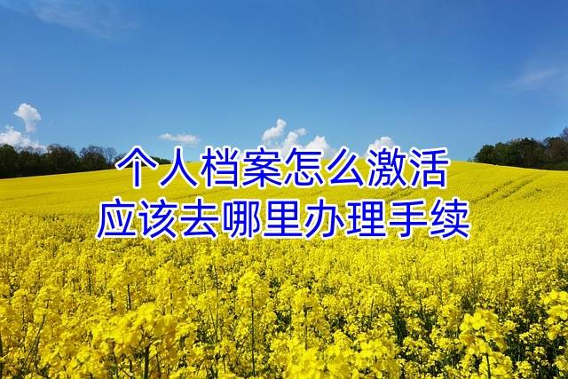 个人档案怎么激活，应该去哪里办理手续