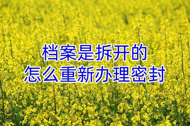 档案是拆开的怎么重新办理密封