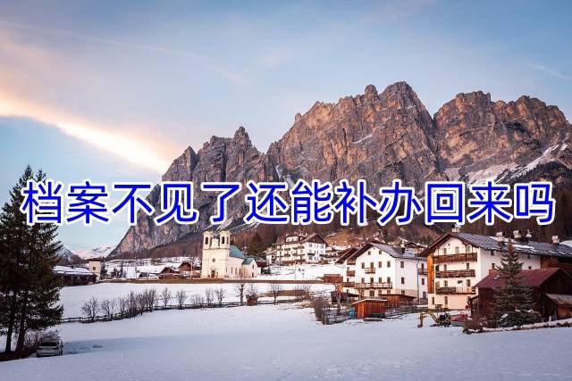 档案不见了还能补办回来吗