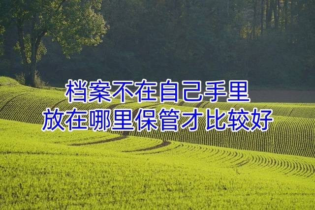 档案不在自己手里，放在哪里保管才比较好