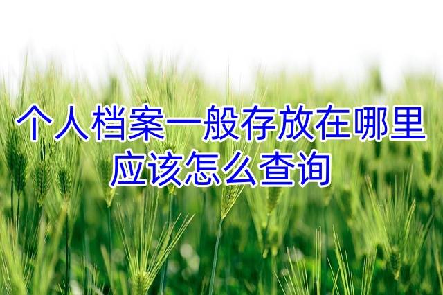 个人档案一般存放在哪里，应该怎么查询