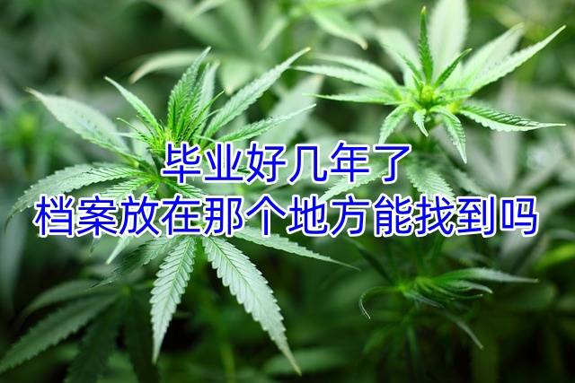 毕业好几年了档案放在那个地方能找到吗