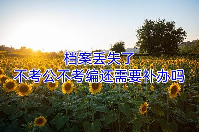 档案丢失了不考公不考编还需要补办吗