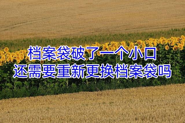 档案袋破了一个小口还需要重新更换档案袋吗