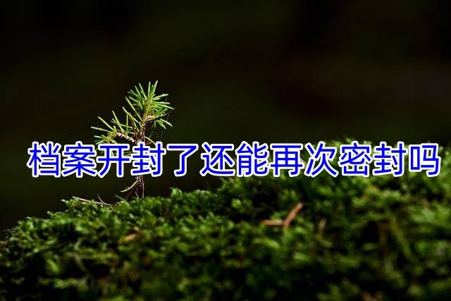 档案开封了还能再次密封吗