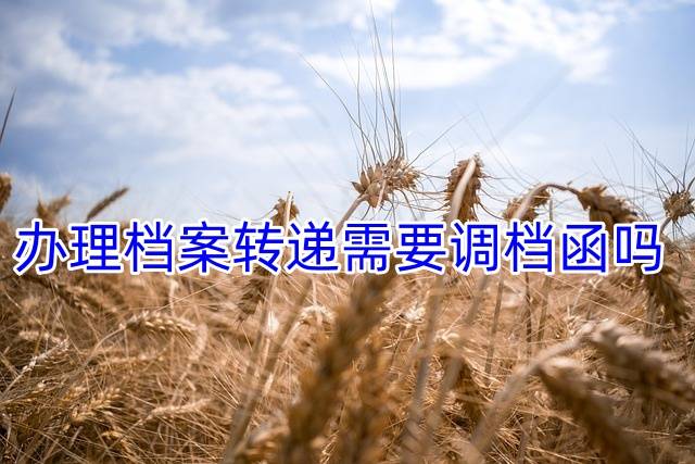 办理档案转递需要调档函吗