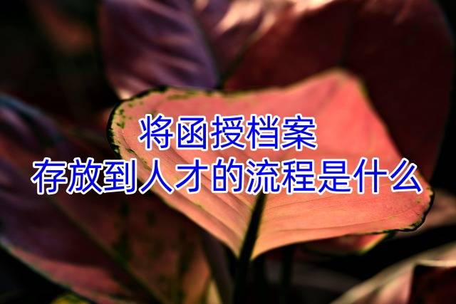 将函授档案存放到人才的流程是什么