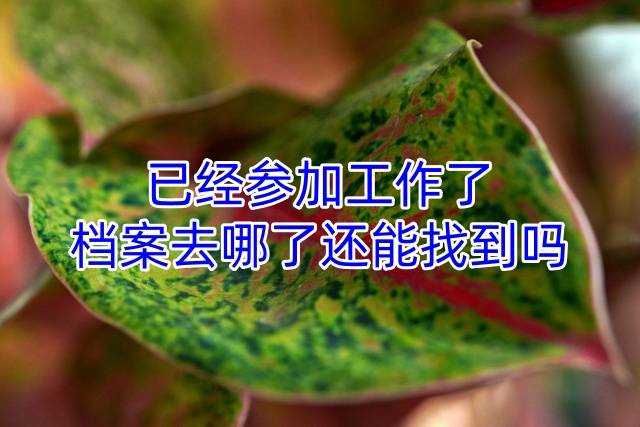 已经参加工作了，档案去哪了还能找到吗