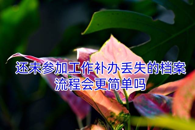 还未参加工作补办丢失的档案，流程会更简单吗