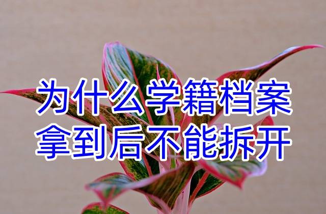 为什么学籍档案拿到后不能拆开