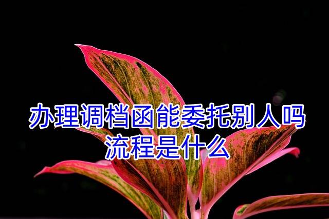 办理调档函能委托别人吗，流程是什么