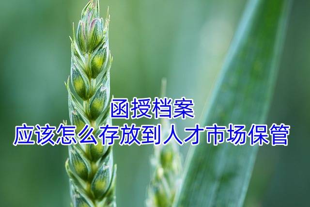 函授档案应该怎么存放到人才市场保管