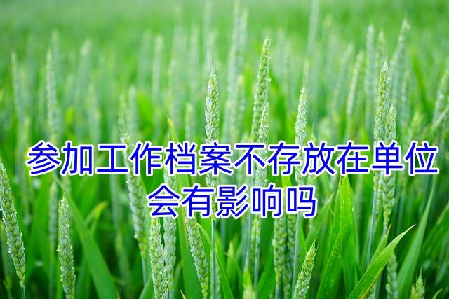 参加工作档案不存放在单位，会有影响吗