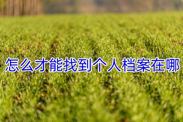 怎么才能找到个人档案在哪
