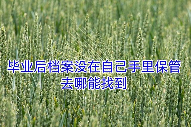 毕业后档案没在自己手里保管，去哪能找到毕业后档案没在自己手里保管，去哪能找到