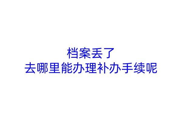 档案丢了，去哪里能办理补办手续呢