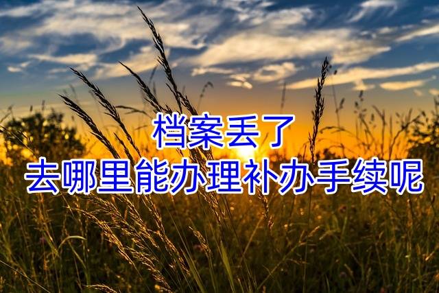 档案丢了，去哪里能办理补办手续呢