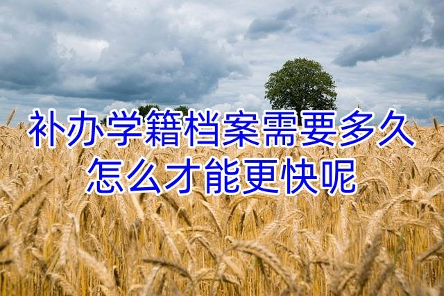 补办学籍档案需要多久，怎么才能更快呢