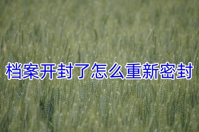 档案开封了怎么重新密封