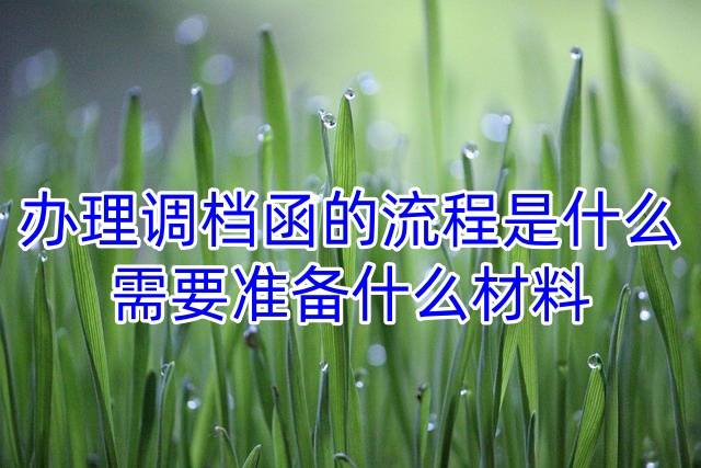 办理调档函的流程是什么，需要准备什么材料