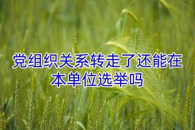 党组织关系转走了还能在本单位选举吗