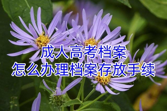 成人高考档案怎么办理档案存放手续