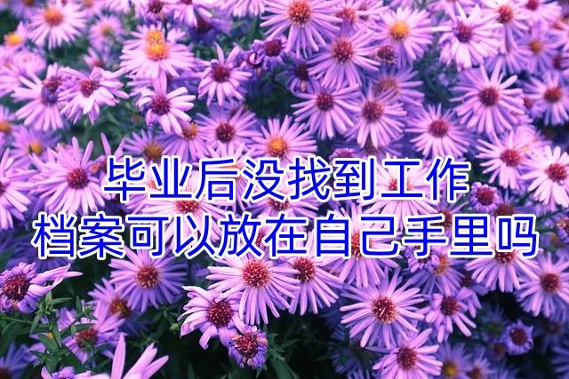 毕业后没找到工作档案可以放在自己手里吗