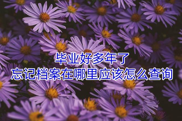 毕业好多年了忘记档案在哪里应该怎么查询