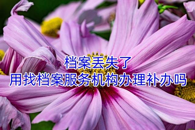 档案丢失了，用找档案服务机构办理补办吗