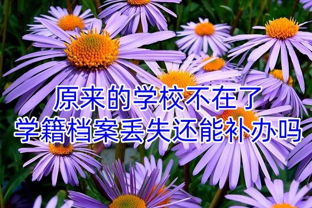 原来的学校不在了，学籍档案丢失还能补办吗