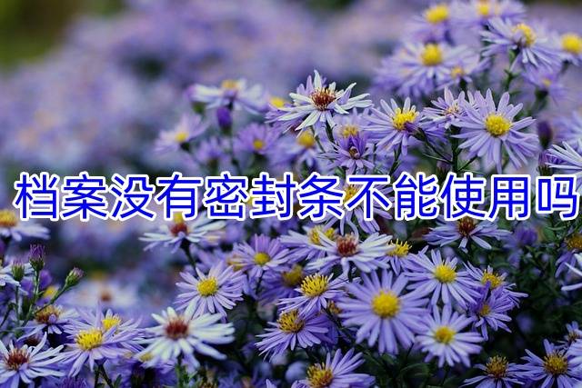 档案没有密封条不能使用吗