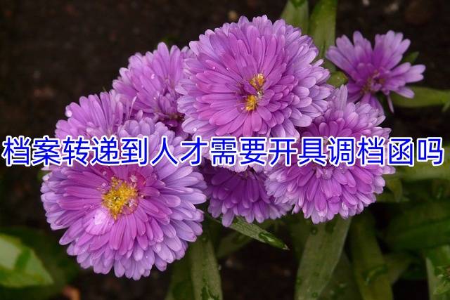 档案转递到人才需要开具调档函吗