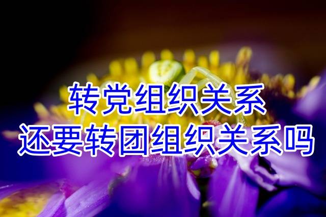 转党组织关系还要转团组织关系吗