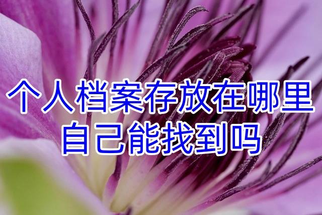 个人档案存放在哪里，自己能找到吗