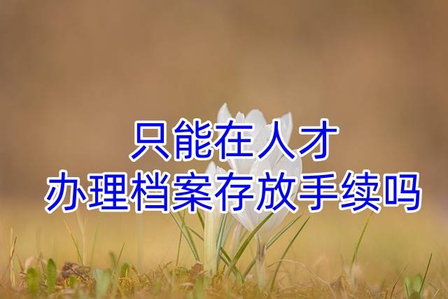 只能在人才办理档案存放手续吗