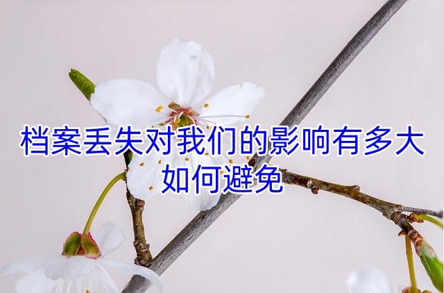 档案丢失对我们的影响有多大，如何避免