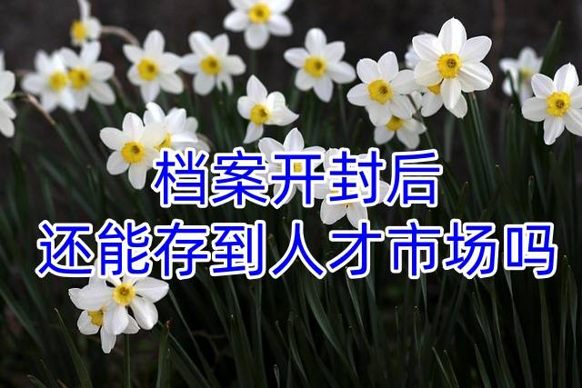 档案开封后还能存到人才市场吗