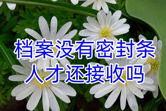档案没有密封条人才还接收吗