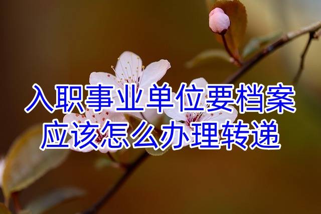 入职事业单位要档案，应该怎么办理转递