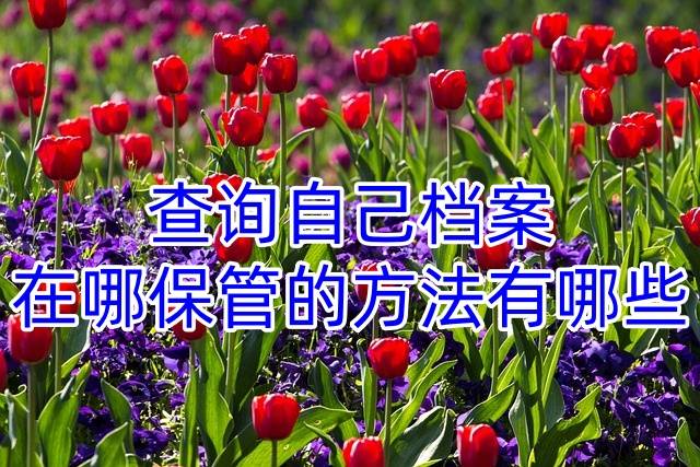 查询自己档案在哪保管的方法有哪些