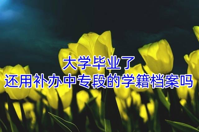 大学毕业了还用补办中专段的学籍档案吗