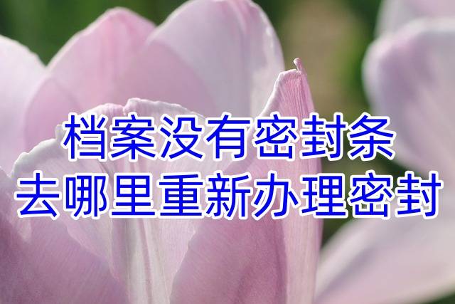 档案没有密封条去哪里重新办理密封