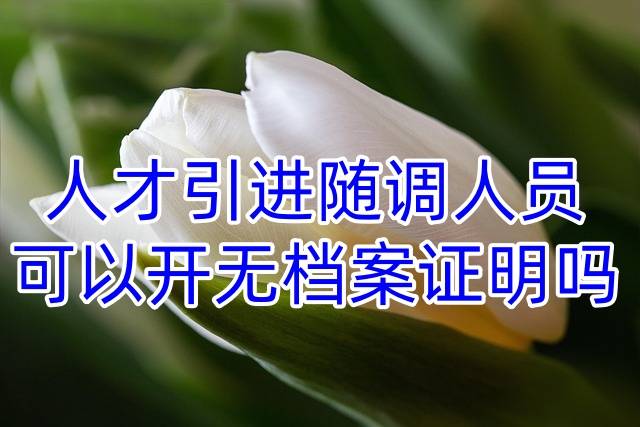 人才引进随调人员可以开无档案证明吗