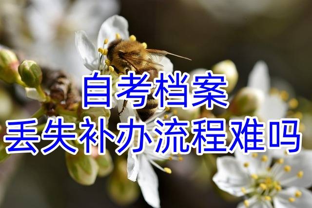 自考档案丢失补办流程难吗