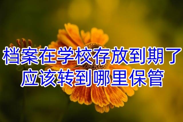 档案在学校存放到期了应该转到哪里保管